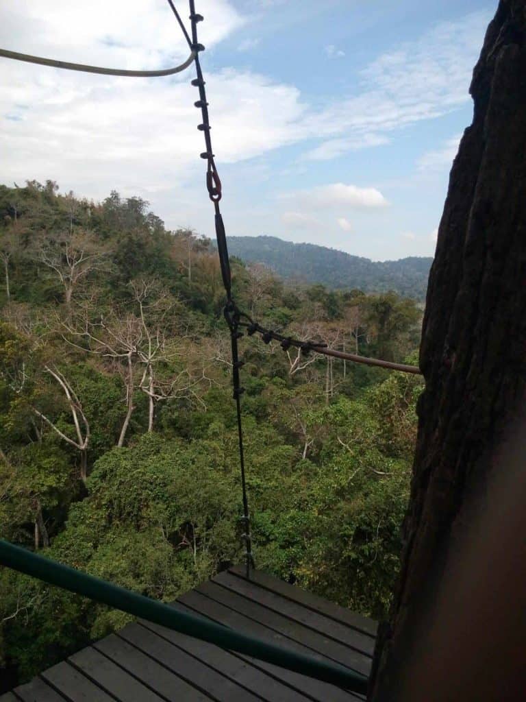 zipline