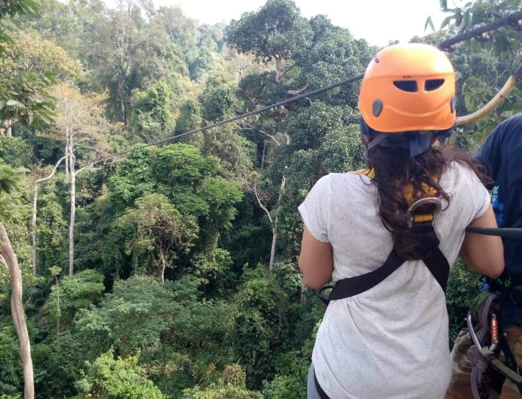 zipline2