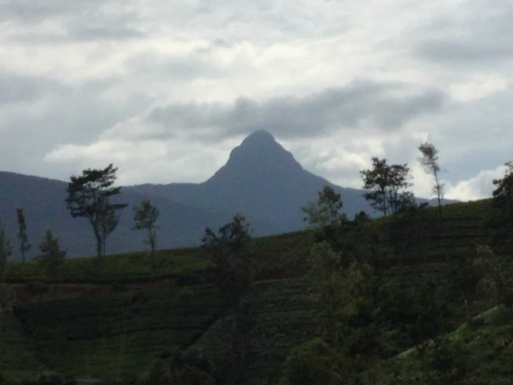 Adams Peak 